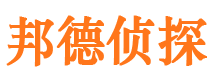 临泽调查公司